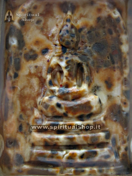 Arahant MAJESTIC Golden Frame Reliquia Sacra (GRADO MUSEO) 5.5x3.7cm Circa Spettacolare PRODOTTO NON PER TUTTI (UNICO PEZZO DISPONIBILE)!