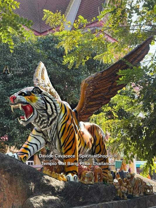 TALISMANO THAILANDESE "TIGRE ALATA" per MASSIMA PROTEZIONE, RICCHEZZA E FORTUNA DALLA TUA PARTE, SUCCESSO NELLA VITA, (DAL TEMPIO WAT BANG PHRA) ENTRA E LEGGI!*